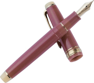 Sailor Wagashi Japanese Sweets Fountain Pen Special set (5 colours)