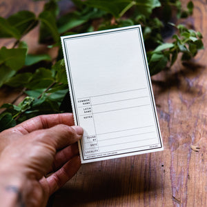 Peg & Awl Specimen Card Book