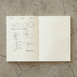 Midori MD Notebook Journal - (A5) - Frame - NOMADO Store