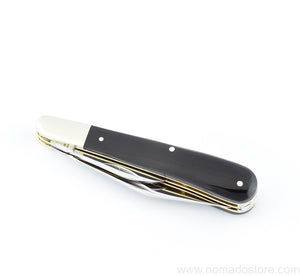 Taylor's Eye Witness Twin Blade Gentleman’s Pocket Knife - Buffalo horn scales & worked back. - NOMADO Store