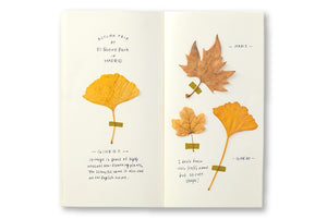 Traveler's Notebook - 025. MD Paper Cream Refill - NOMADO Store