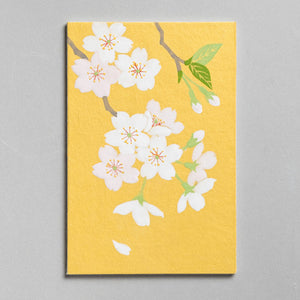 Nakagawa Gofun mineral pigment painting starter kit (2 options)