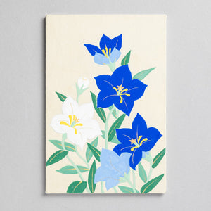 Nakagawa Gofun mineral pigment painting starter kit (2 options)