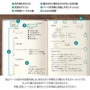 Midori 2025 Diary Hibino A6 Blue green