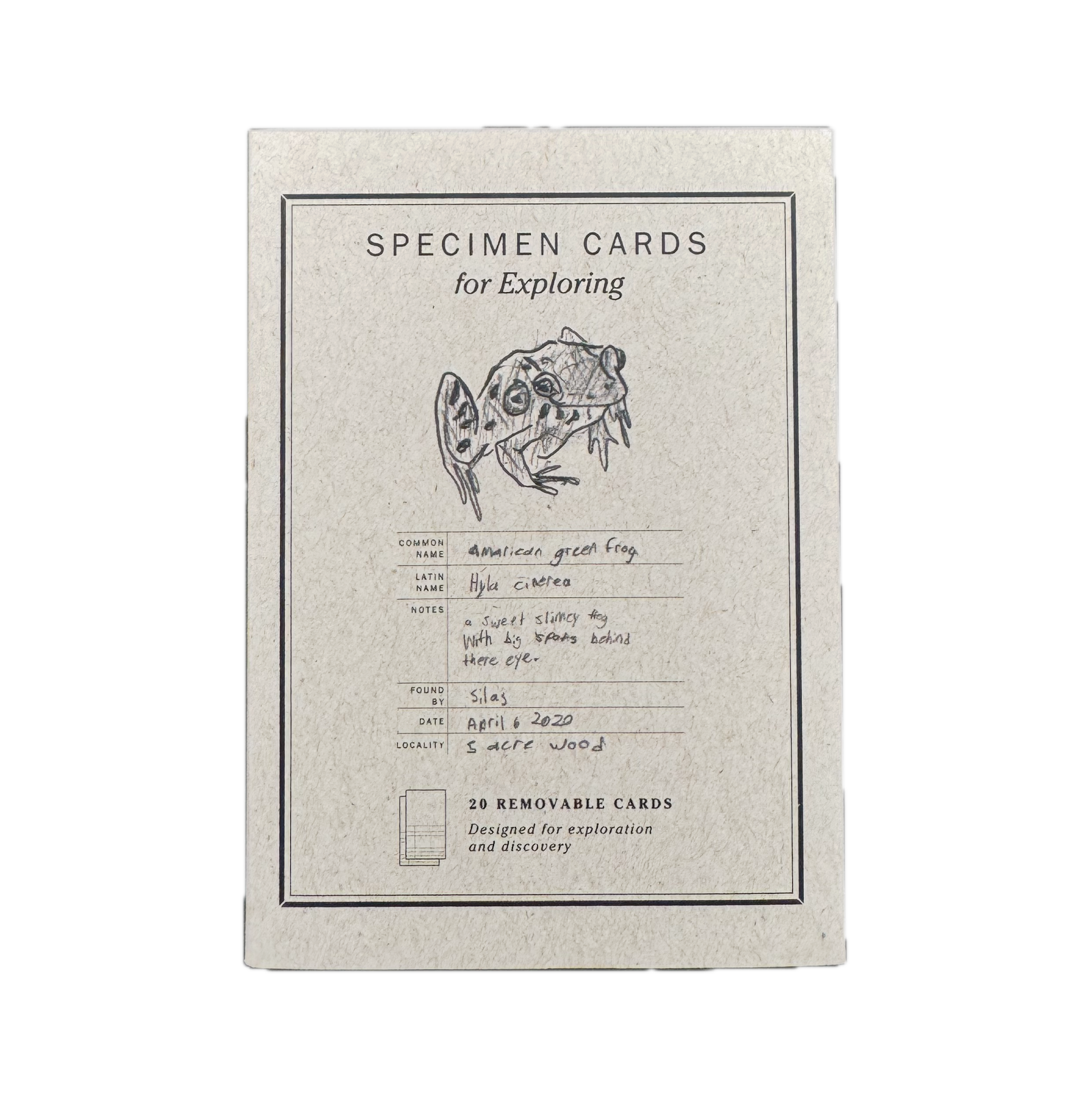 Peg & Awl Specimen Card Book