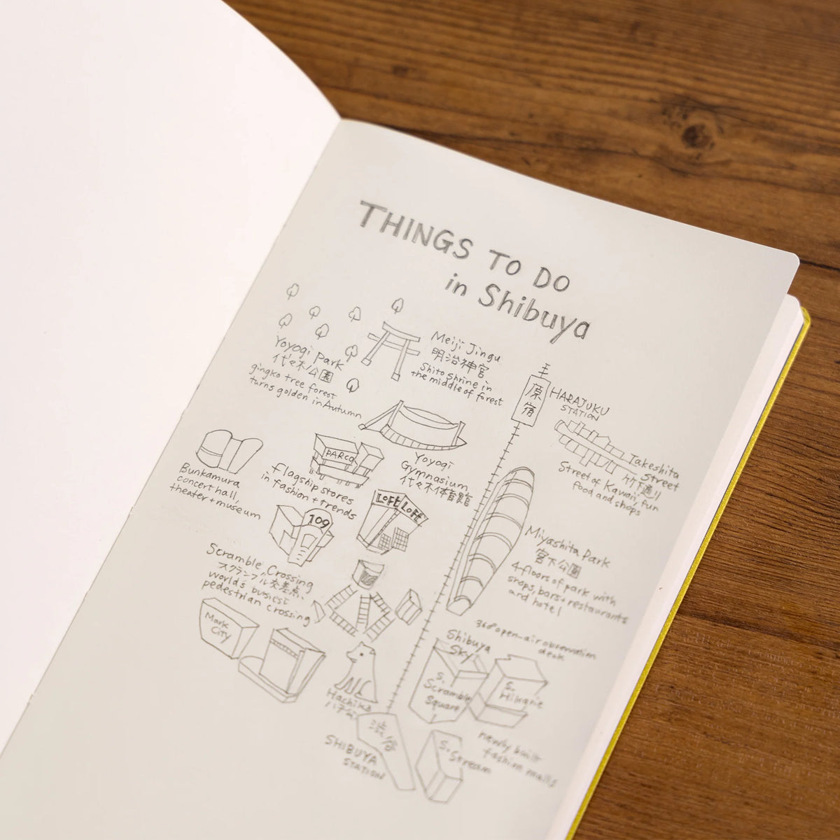 Dressco notebook L - Bank paper (4 colours) - NOMADO Store 