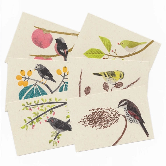 Itsuko Naka Set of 6 Wild birds and berries postcards - NOMADO Store 