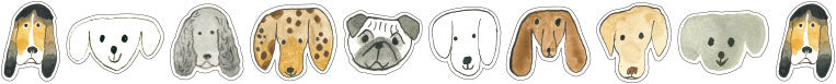 Classiky Toranekobonbon Sticker Roll (Cats or Dogs 30mm)
