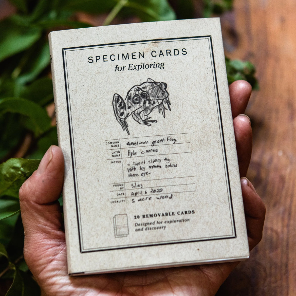 Peg & Awl Specimen Card Book