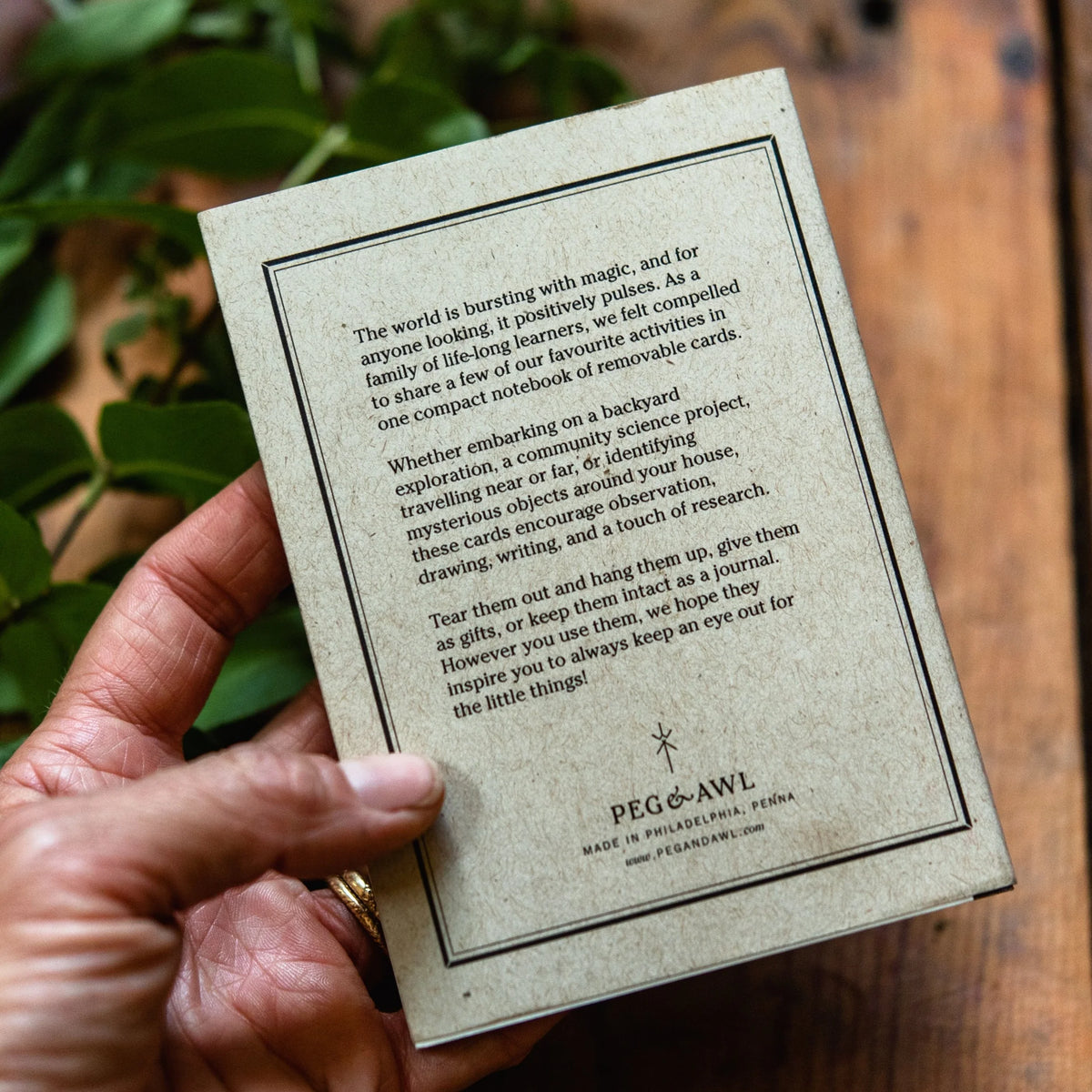 Peg & Awl Specimen Card Book