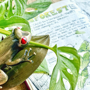 Esterbrook Tree Frog Page Clip