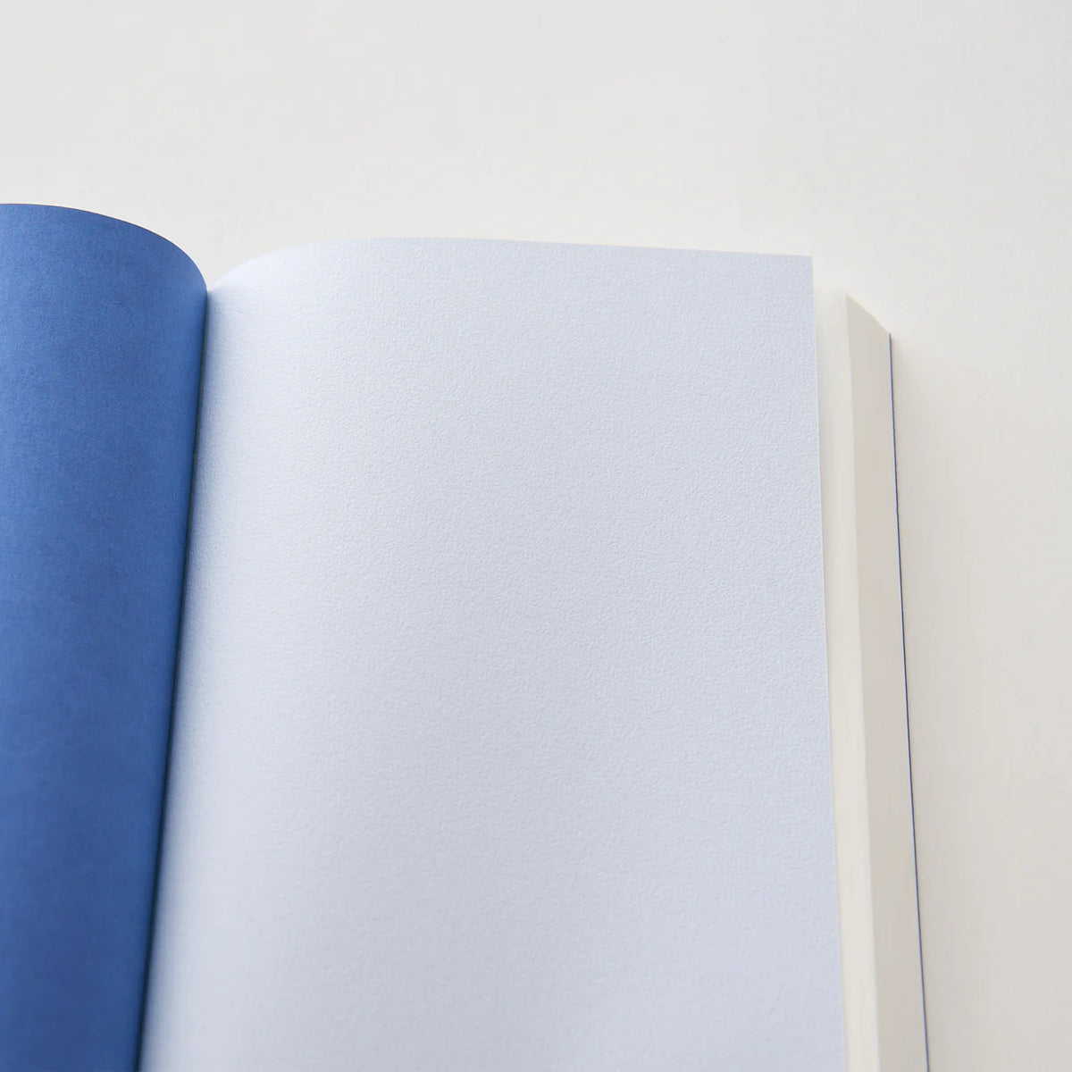 Dressco Onion skin notebook regular (4 colours) - NOMADO Store 