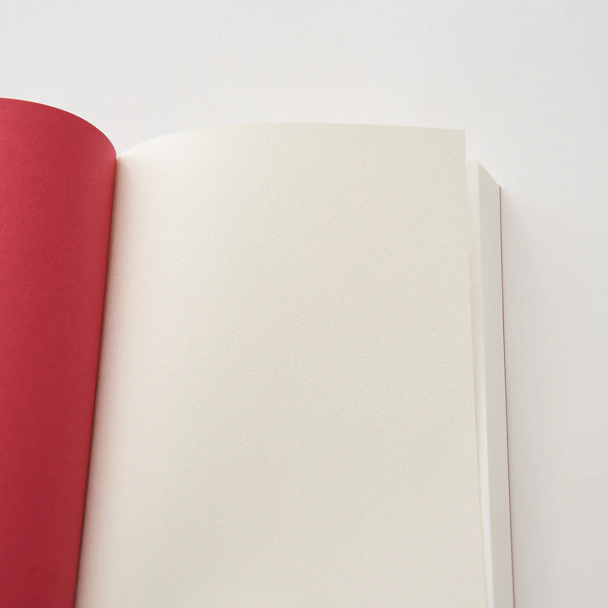 Dressco Onion skin notebook regular (4 colours) - NOMADO Store 
