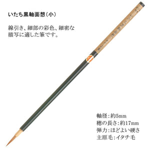 Akashiya Gansai 12 Colour Watercolour Set with Brushes