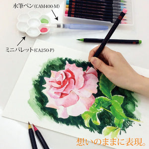 Akashiya Sai Watercolour Brush Pen 5 colour set (Winter)