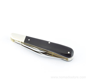 Taylor's Eye Witness Twin Blade Gentleman’s Pocket Knife - Buffalo horn scales & worked back. - NOMADO Store 