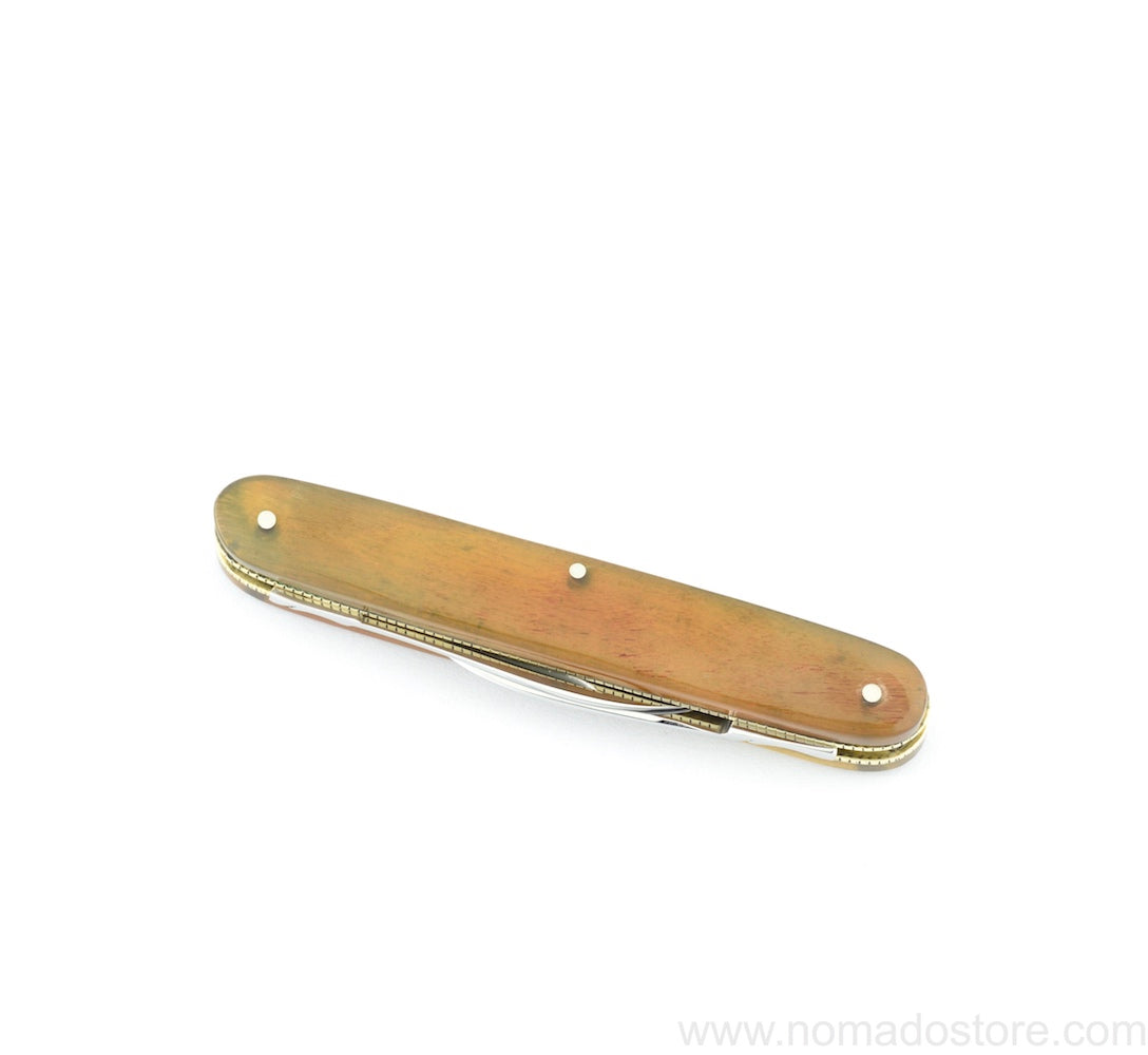 Taylor's Eye Witness 3" Plain Pen Knife - Rams horn & Work back. - NOMADO Store 